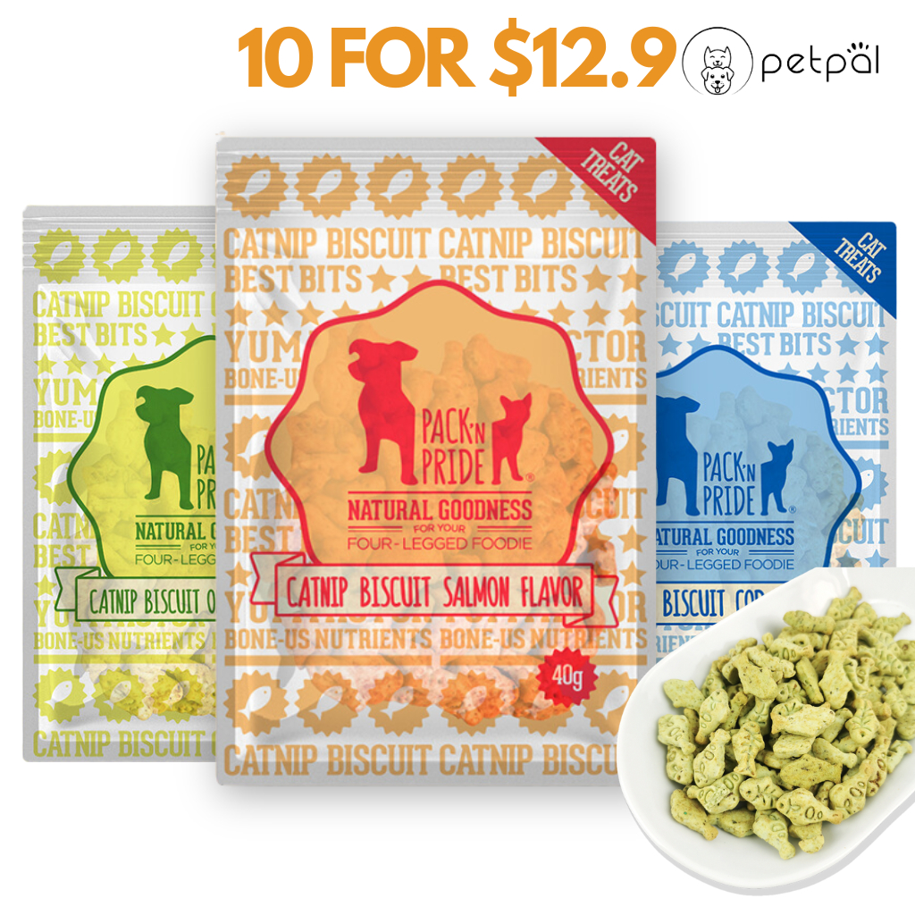 PackNPride Catnip Snacks with High Nutrition For Cats 40g | Cat Snacks | Cat Catnip Biscuits | Cat Dry Food | Cat Treats